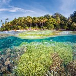 raja ampat